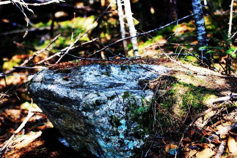 A rock is hit by sunlight. 