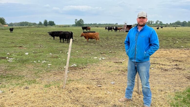 A man in a blue jacket stands in front of a cattle field. 