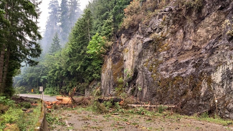 Trees and debris lie across Highway 4 on Vancouver Island.