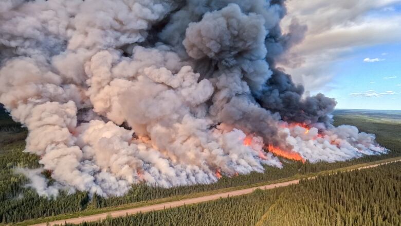 An aerial shot shows a ridge of fire in a vast forest with smoke billowing along a straight line upwards into the sky as far as the eye can see.