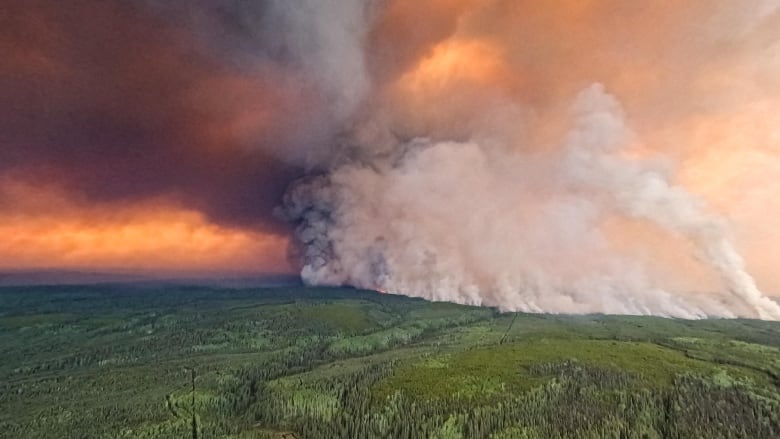 A plume of smoke rises from a vast forest.