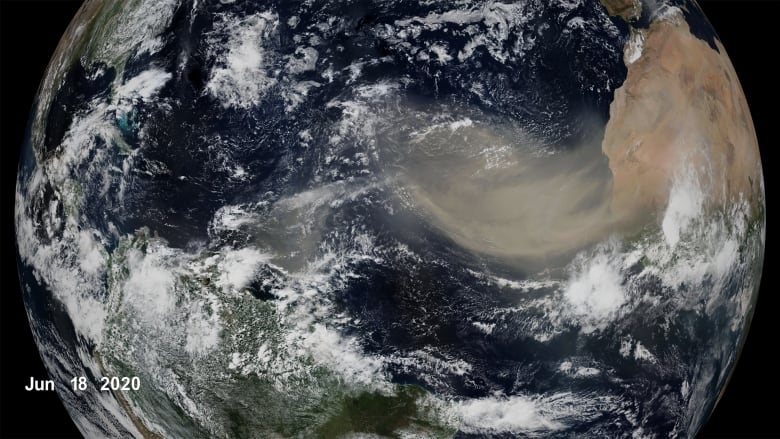 In June 2020, a Godzilla dust plume travelled from the Sahara, the planets largest, hottest desert, across the Atlantic ocean to North America.