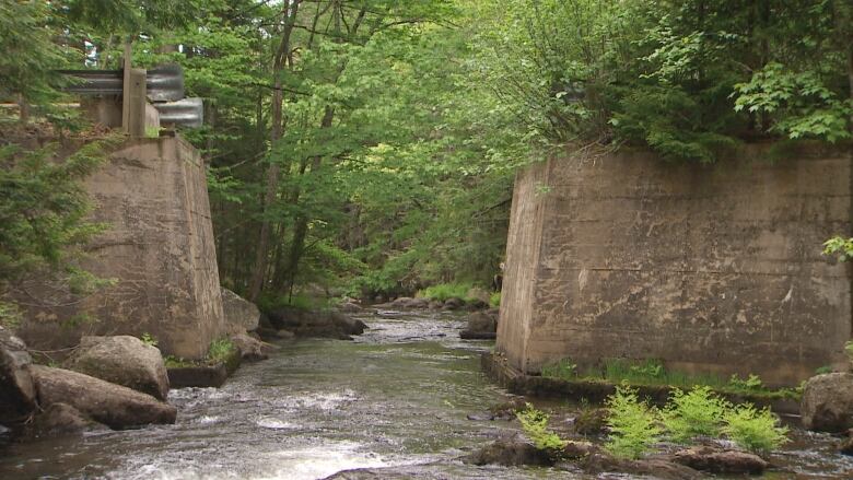 The view from the river bed looking up at the concrete foundations of an old bridge surrounded by trees