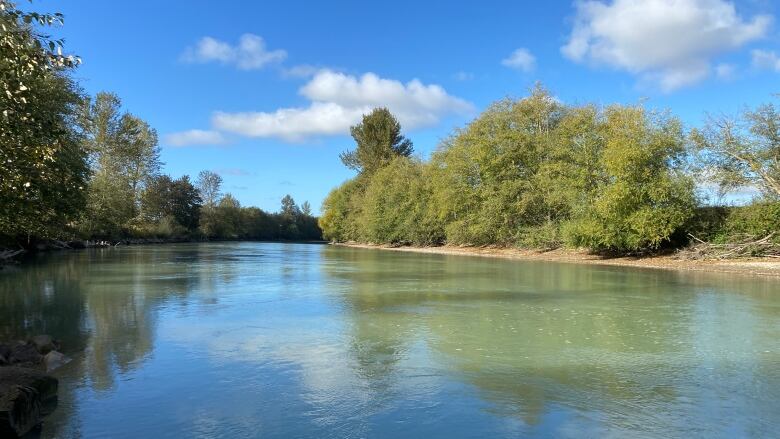 A blue river is pictured surrounded by trees and blue sky above. 