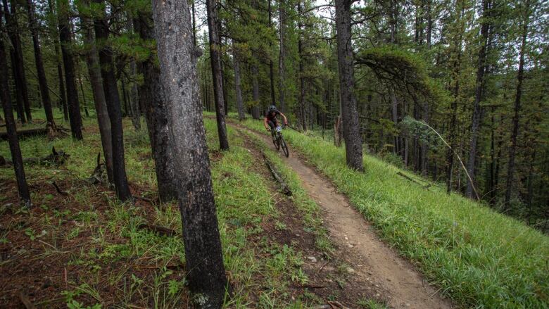 A man bikes on a trail through a forest