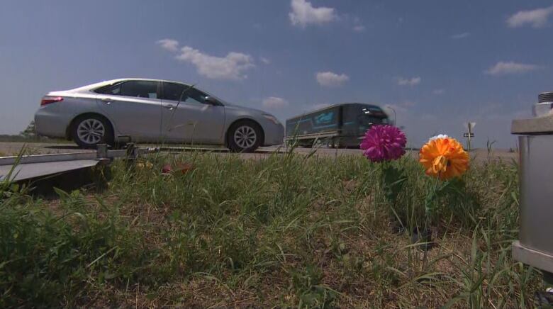 A pair of purple and orange flowers sit in grass, on the side of a highway intersection. A silver car is stopped behind the flowers, waiting for a black eighteen-wheeler breeze down the highway.