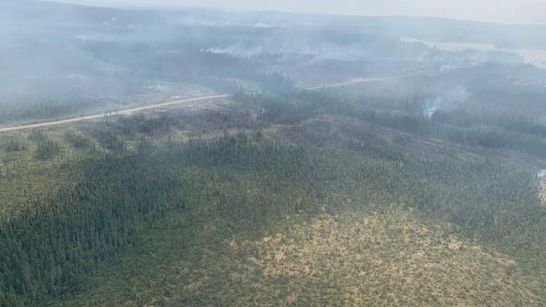 Bird's-eye view of a burned forest. 