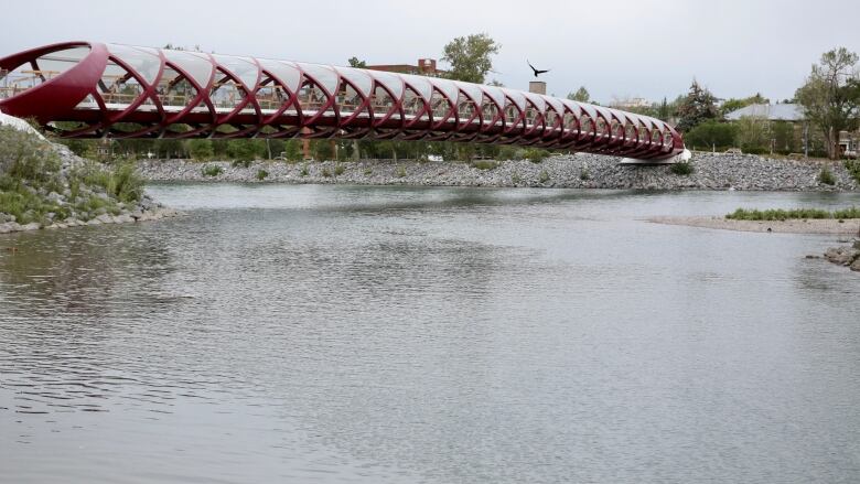 The Bow River is shown near the Peace bridge.