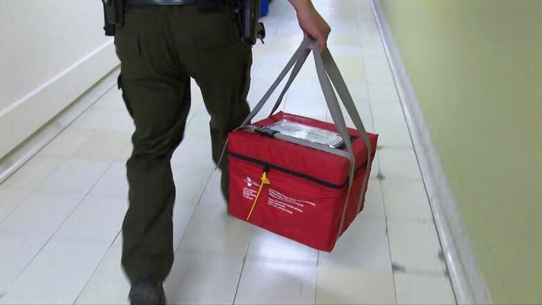 A person walks quickly down a hallway, carrying a red bag, containing a donated organ for transplant.