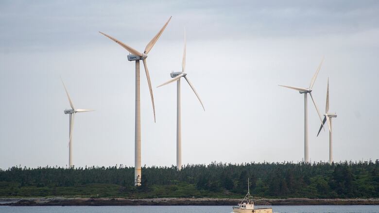 A wind plant in Nova Scotia. The role of wind power, which is one of the cheapest sources of energy, is set to dramatically expand in a net-zero emissions future. 