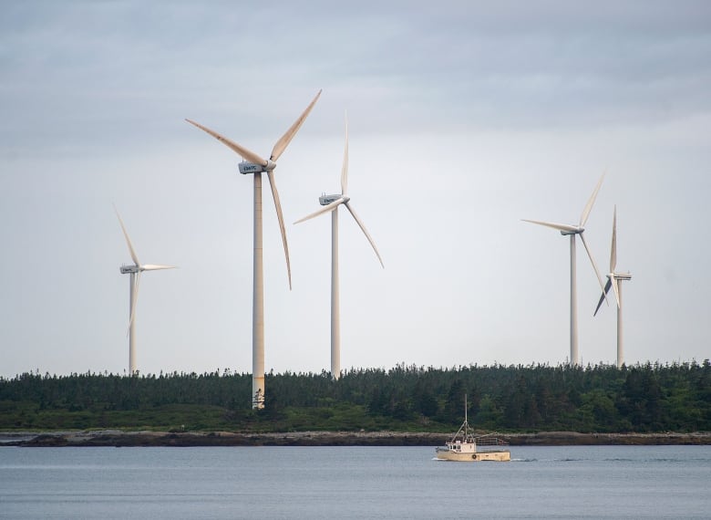 A wind plant in Nova Scotia. The role of wind power, which is one of the cheapest sources of energy, is set to dramatically expand in a net-zero emissions future. 