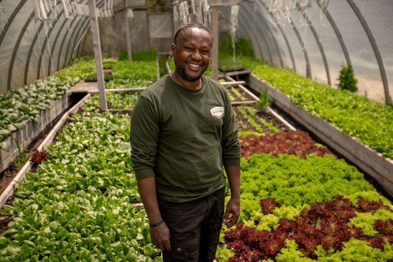 A man smiles in a greenhouse full of greens.