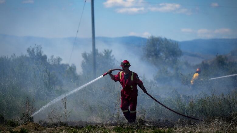 Firefighters direct water out of hoses in a forest.