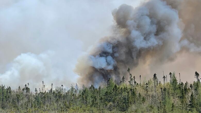 Black smoke is shown above a forested area in the Barrington Lake, Shelburne County, area of Nova Scotia from May 29, 2023.