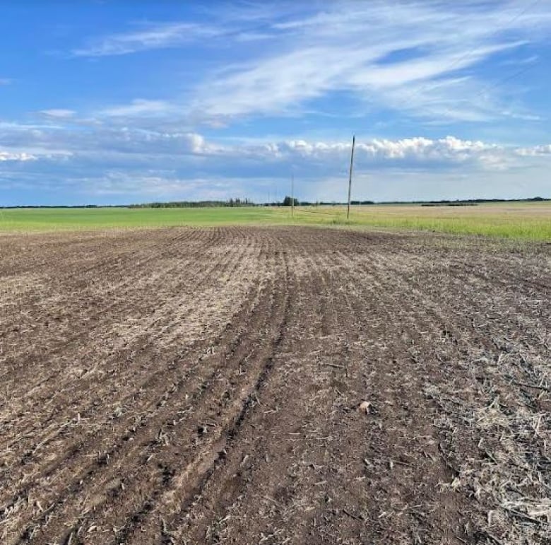 A large patch of dirt appears in the centre of a green field.  The sky is bright blue along the horizon.