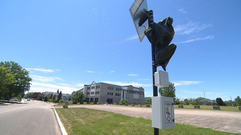 EARL light, which looks like a traffic light, covered by a blag plastic bag