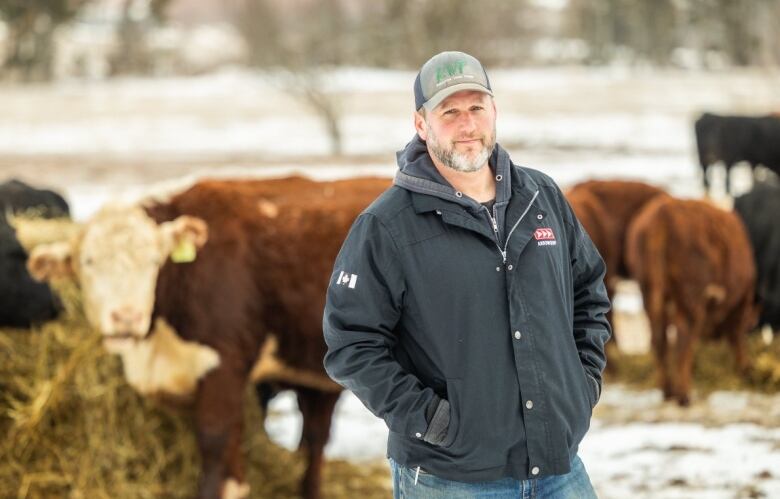 person and cattle 