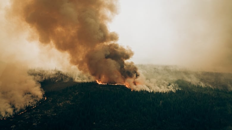 A fire burns through a forest in Quebec. 