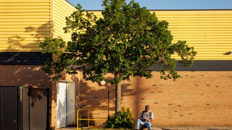 A man sits under a tree.