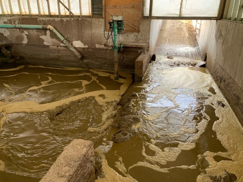 A large cement room with liquid manure. 