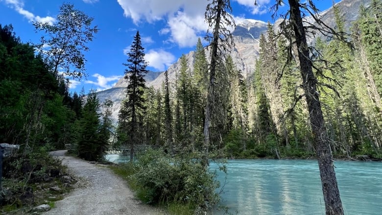 A rocky dirt trail is pictured next to a bright blue river. An evergreen forest and mountains are pictured in the background on a summer day.