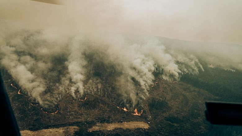 quebec forest fires with a lot of smoke