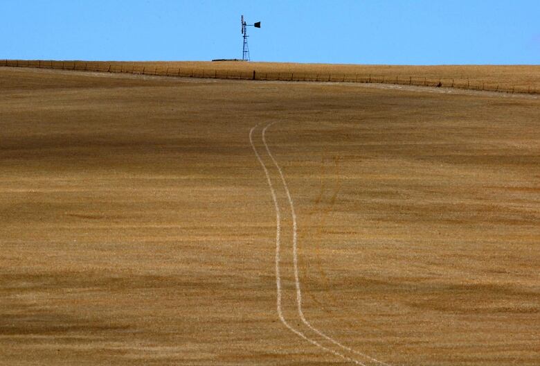 Tire tracks lead up to a windmill in a drought-affected landscape near the New South Wales town of Gundagai, located around 400 kilometres south-west of Sydney.