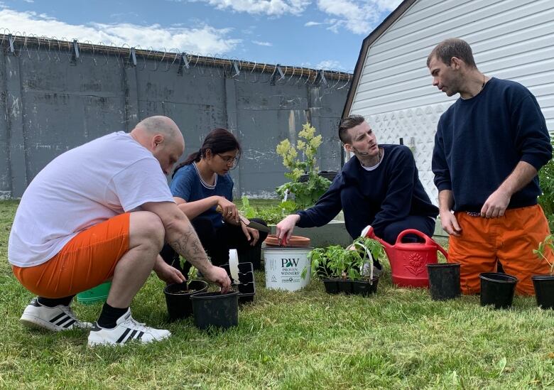 Three men wearing orange, blue and white have their hands in soil.