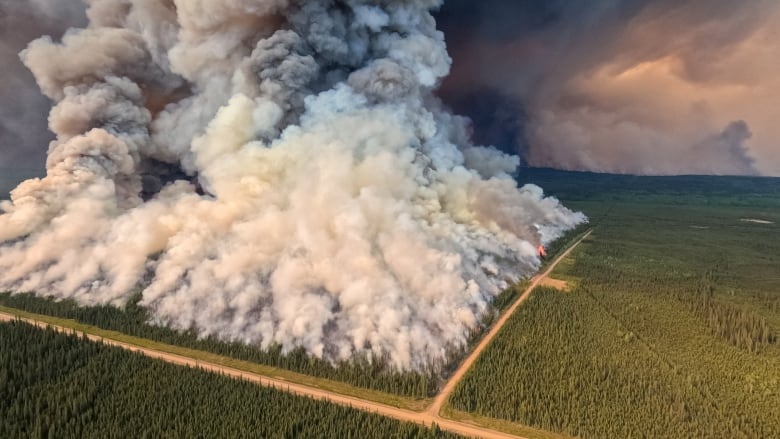 A large wildfire burns in a square plot of land.