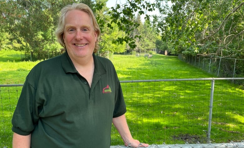 Jeff Mitchell is posing for a portrait beside the large zebra enclosure beside him.