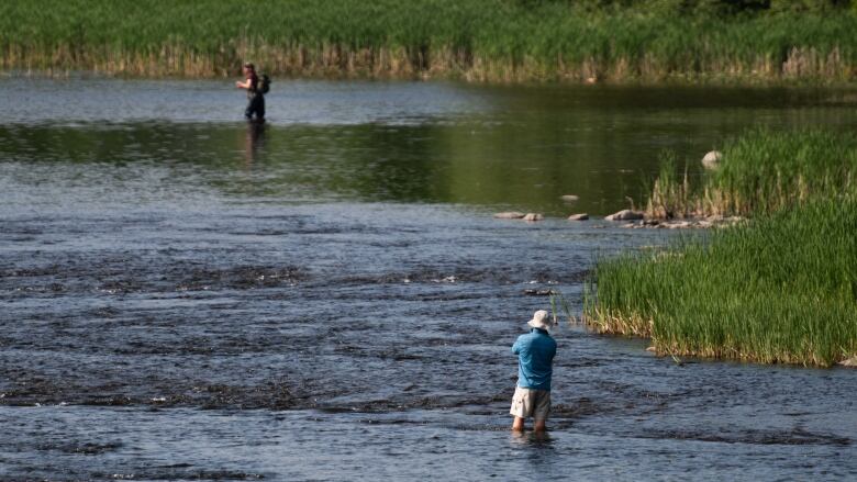 A person stands in the river fishing. 