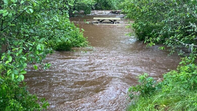 A picnic table sits in the middle of a body of water. 