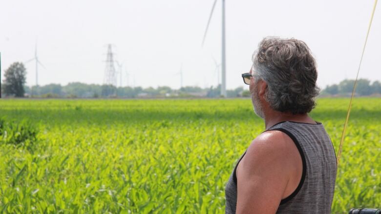 A farmer stares out at green wheat plants on a sunny day