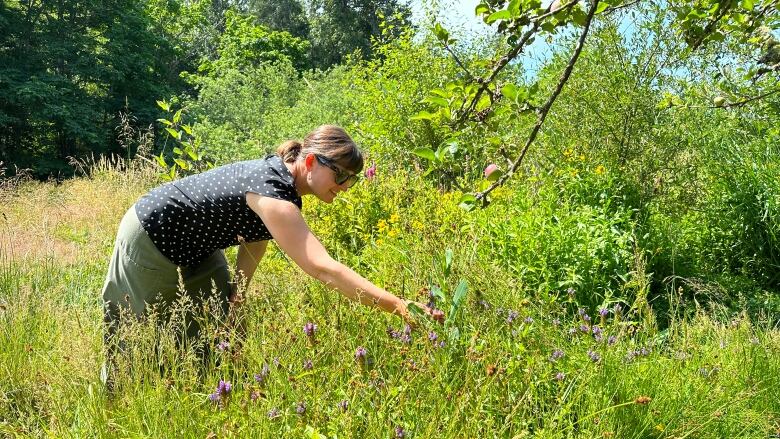 A woman bends over to pick a flower in a meadow.