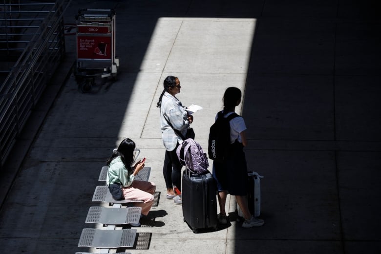 Several travellers stand with their luggage outside an airport.