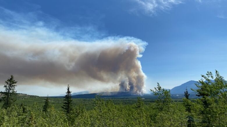 Big plume of smoke from a raging wildfire