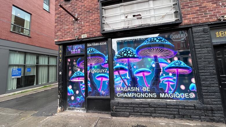 a store with flashy mushroom windows