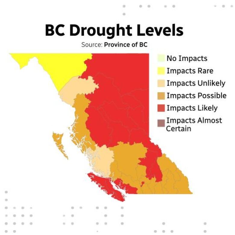 A map of B.C. shows most of the province is under some level of drought.