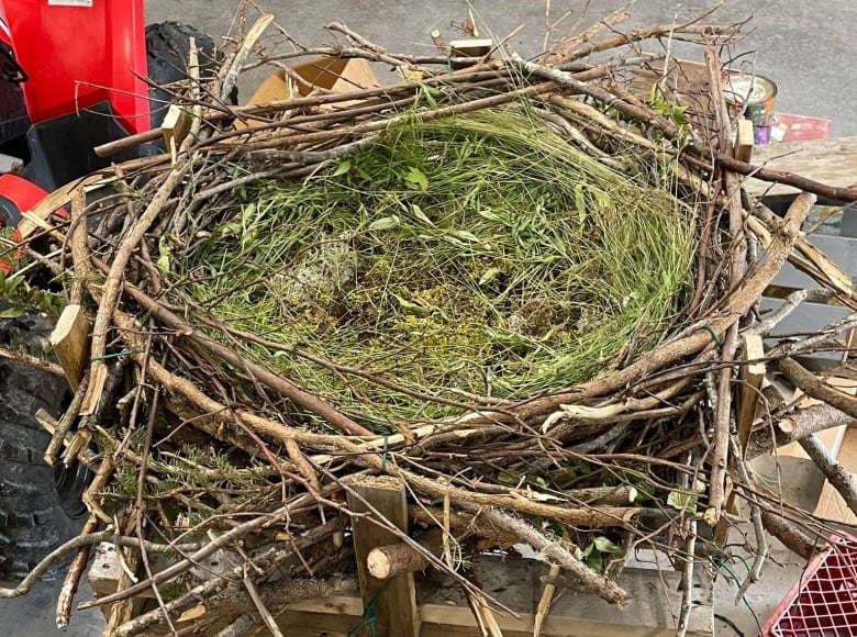 A large nest made of sticks, moss and grass sits on a table