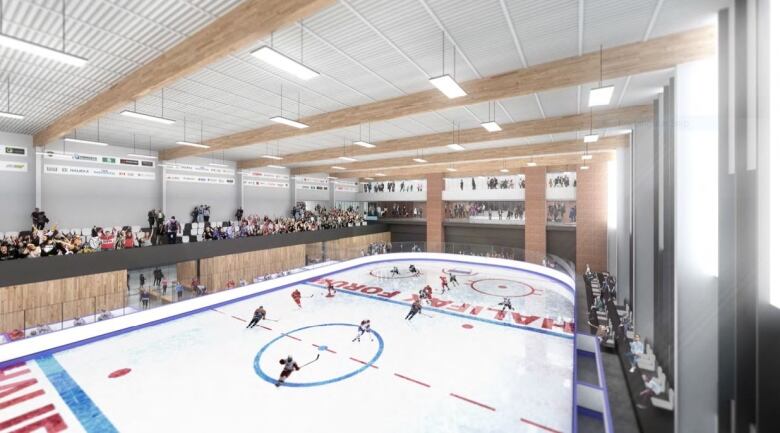 An ice rink with people overlooking it.