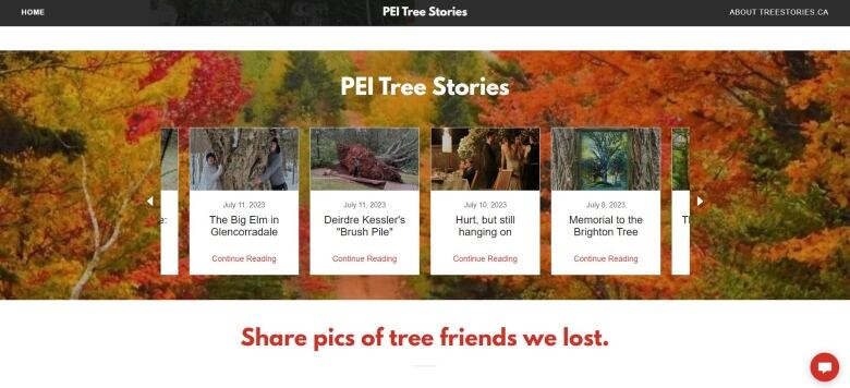 A screenshot of the P.E.I. Tree Stories' home page.