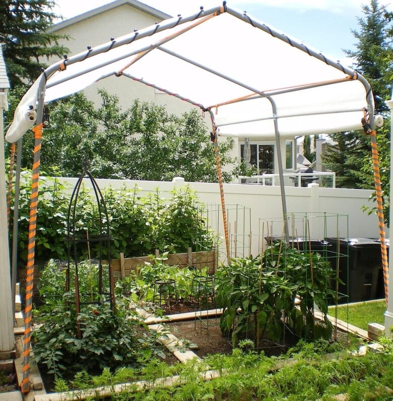 A green garden flourishes under a standalone canopy.