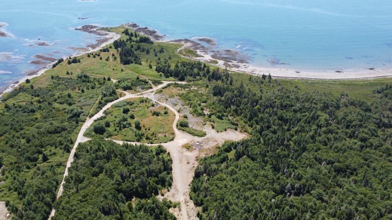 the Nature Conservancy of Canadas restoration site on Grand Manan Island