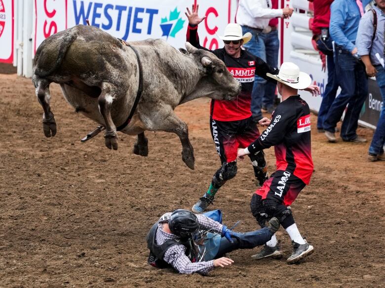 The bull 'Unkle Kranky' goes flying over bull rider Sage Steele Kimzey of Salado, Texas in the bull riding event during the Calgary Stampede rodeo in Calgary, Alberta, Canada July 10, 2023. 