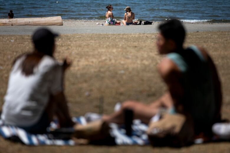 Two people are seen out of focus on a brown, grassy field in front of a beach.