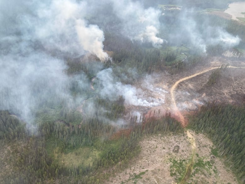 Aerial shot of smoke from a burning forest.