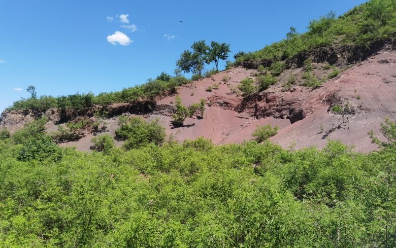 Green scrub and red earth on a hillside