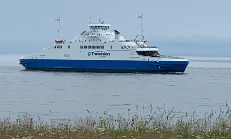 A large blue and white ferry is seen off the shore at Wood Islands, N.S.