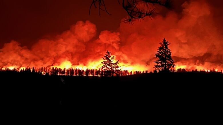 A dark field shows wildfire smoke burning. 