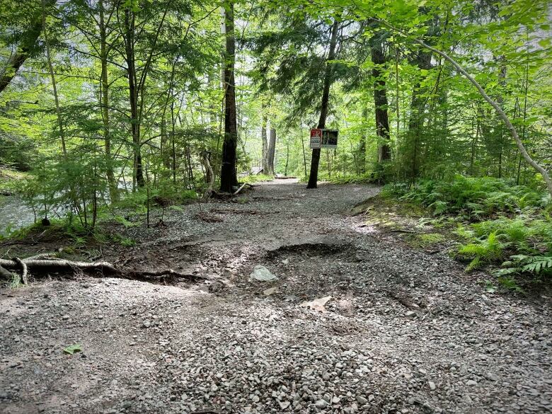 Some gravel is washed away from a path through a forest of green trees.